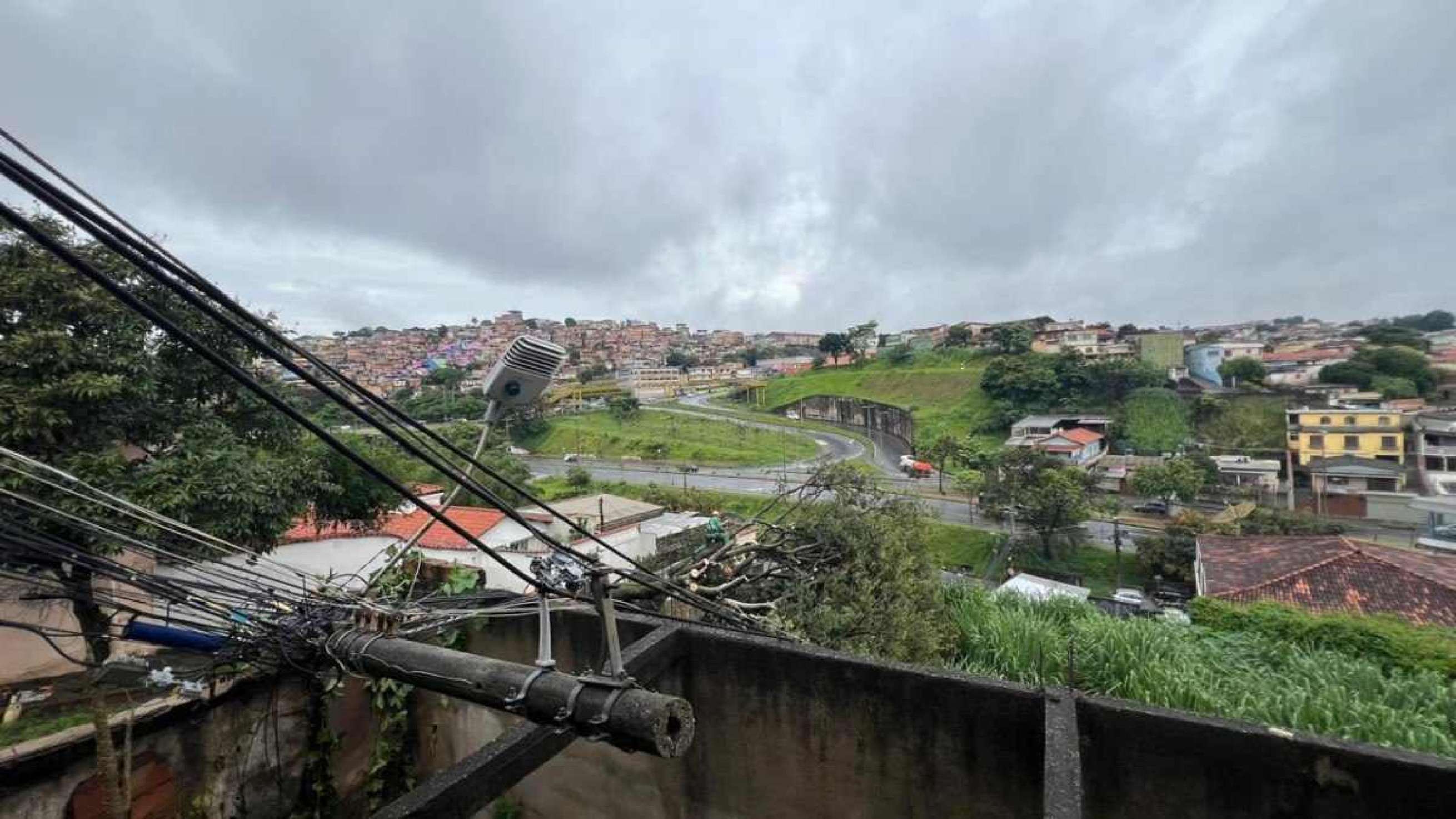 O peso das árvores ainda derrubou dois postes de energia elétrica da rua