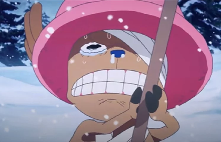 Personagem: Tony Tony Chopper, anime: One Piece - Muitos olham para Tony Tony Chopper e o consideram apenas um animal de estimação chorão dos Piratas do Chapéu, porém não podemos esquecer que ele é fundamental para o grupo principal do anime por causa de suas habilidades médicas. 