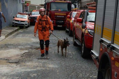 Cabo Thiago Chaves guia um dos cães utilizados nas buscas pelas vítimas do desabamento de uma casa neste sábado (28/12) -  (crédito: Túlio Santos/EM/D.A Press)