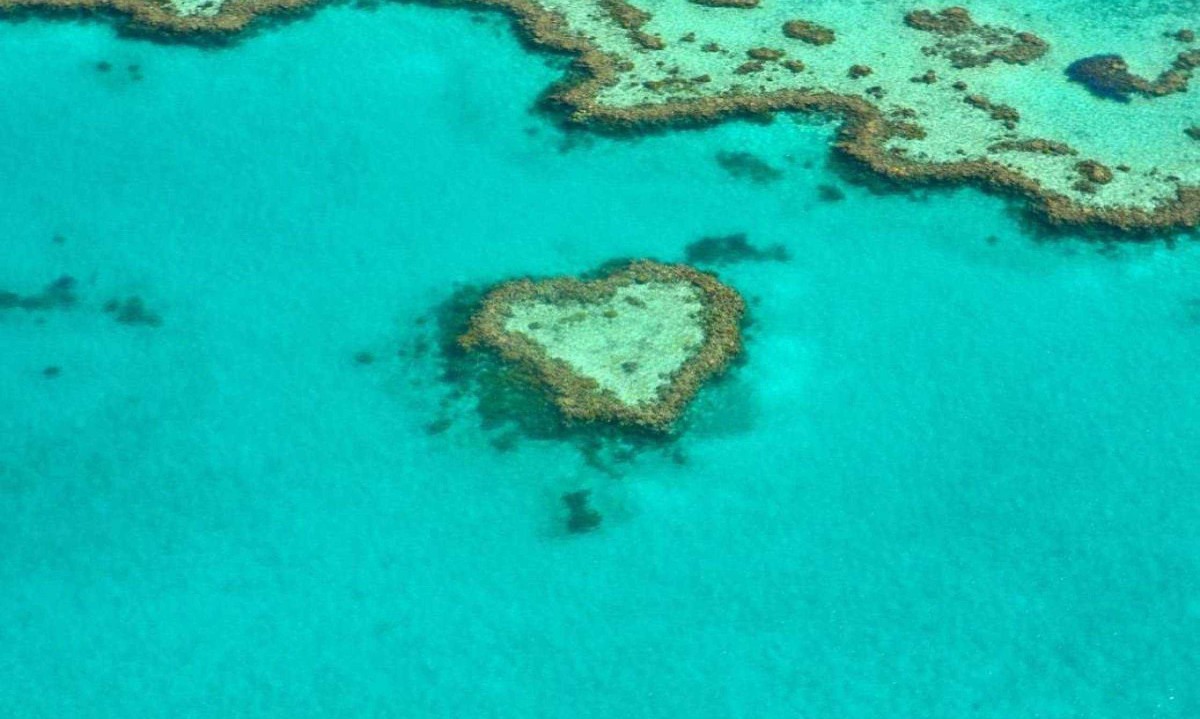 Barreira de corais da Austrália, onde pescador foi morto por tubarão - (crédito: PxHere)