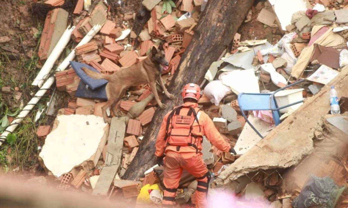 Bombeiros utilizaram cães para localizar as vítimas do desmoronamento no bairro Paraíso, em BH -  (crédito: Edesio Ferreira/Em/D.A Press)