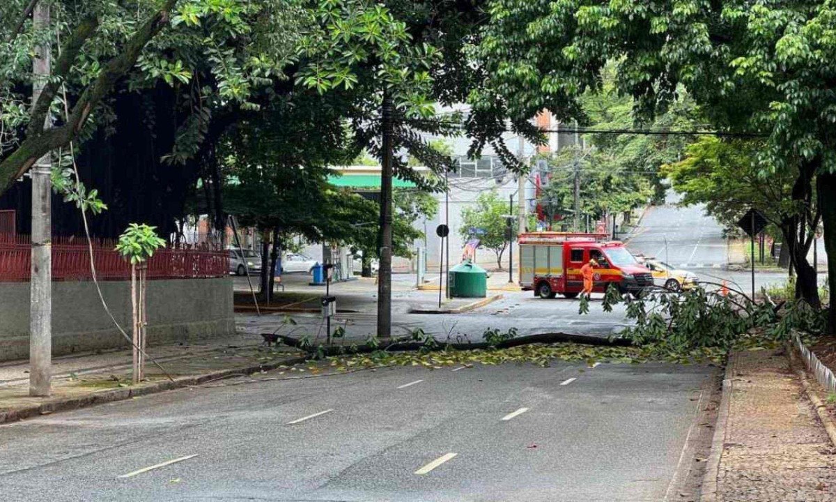 Corpo de Bombeiros e BHTrans já estão no local -  (crédito: Edesio Ferreira/EM/D.A Press)