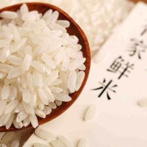 A milenar medicina chinesa recomenda ingestão de arroz branco em quantidades corretas
 -  (crédito: Pixabay/ reprodução)