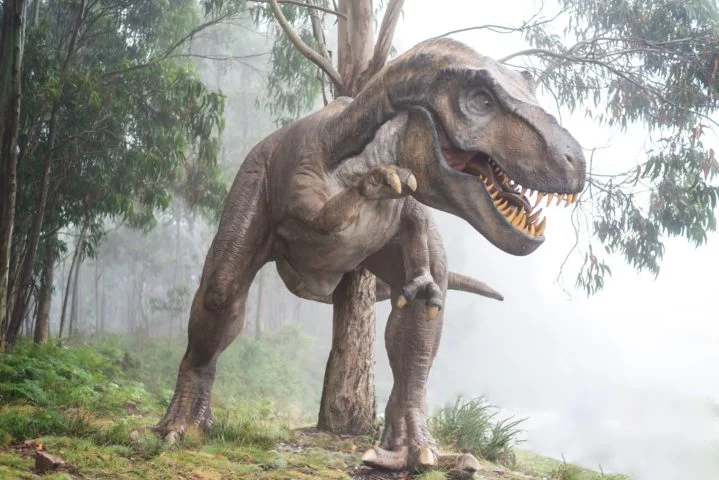 Um estudo recente da revista Science Advances sugere que os dinossauros não foram extintos exclusivamente devido ao impacto de um meteorito. A pesquisa aponta outro fato que pode ter ocasionado a perda. -  (crédito: Fausto García-Menéndez unplash)