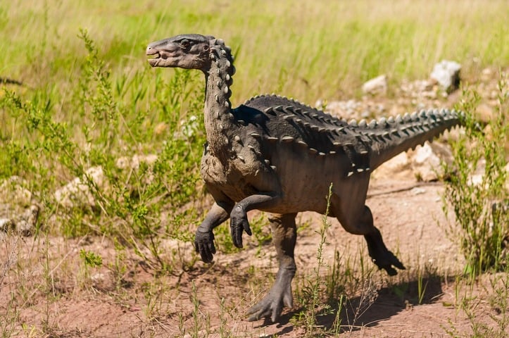 Os fósseis encontrados eram de dinossauros ancestrais, ainda pequenos (50 cm) e compridos (1,50 metro). Ao longo da evolução, eles deram origem aos dinossauros gigantescos (passando, então, a ser quadrúpedes).