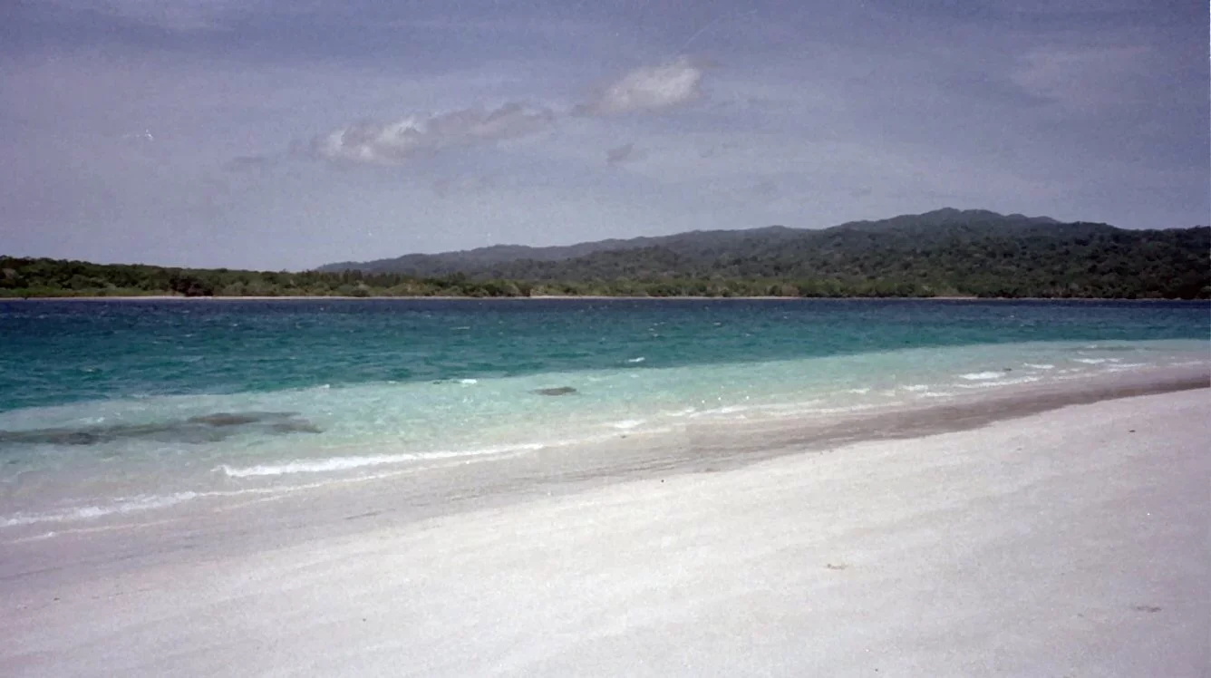 O Parque Nacional Ujung Kulon, na Indonésia, foi criado para proteger o habitat remanescente dessa espécie. Guardas florestais monitoram a área para evitar caçadores.

