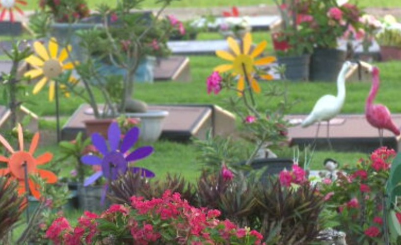 O solo da cidade é carregado de caulim, um tipo de minério que retarda a desintegração de corpos, tornando-a  muito lenta, quase eterna. Diante disso, não existe a menor chance de haver cemitérios para se despedir dos entes queridos no local, tendo que enterrá-los em outros municípios de Roraima.