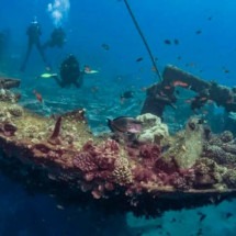 Arqueólogo português descobre tesouro de 22 toneladas em navio naufragado - reprodução/The Daily Galaxy/Great Discoveries Channel