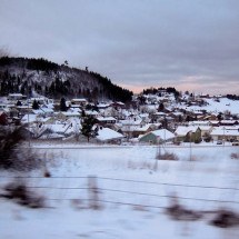 Sono duradouro: Animais que hibernam no inverno