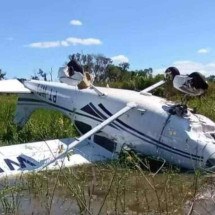 Três pessoas são resgatadas após queda de avião no Pantanal; veja vídeo - Reprodução/X