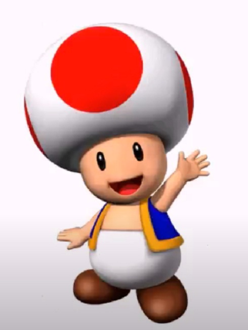 Nome do personagem: Toad - É outro personagem muito tradicional do jogo e um dos que melhor simbolizam o universo Mario Bros. Ele é muito próximo dos personagens principais, sendo que vive no Reino dos Cogumelos servindo a princesa Peach.