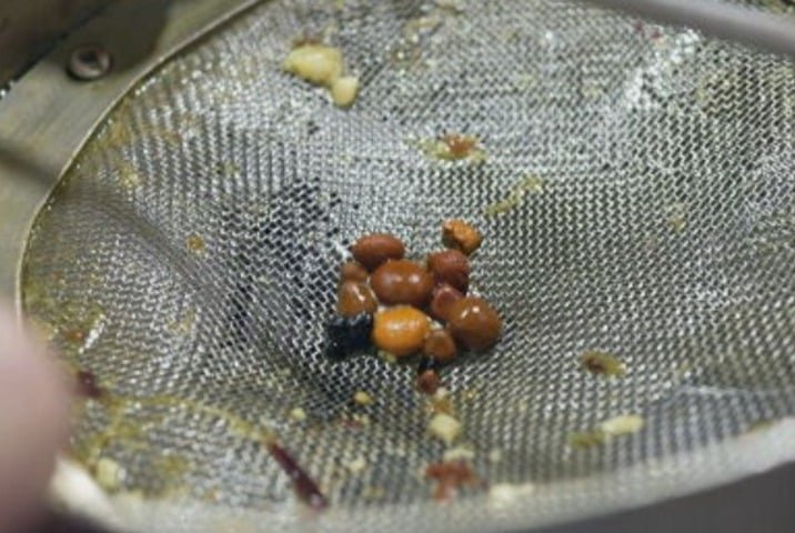 Na peneira, quando as pedras são encontradas, o empresário 