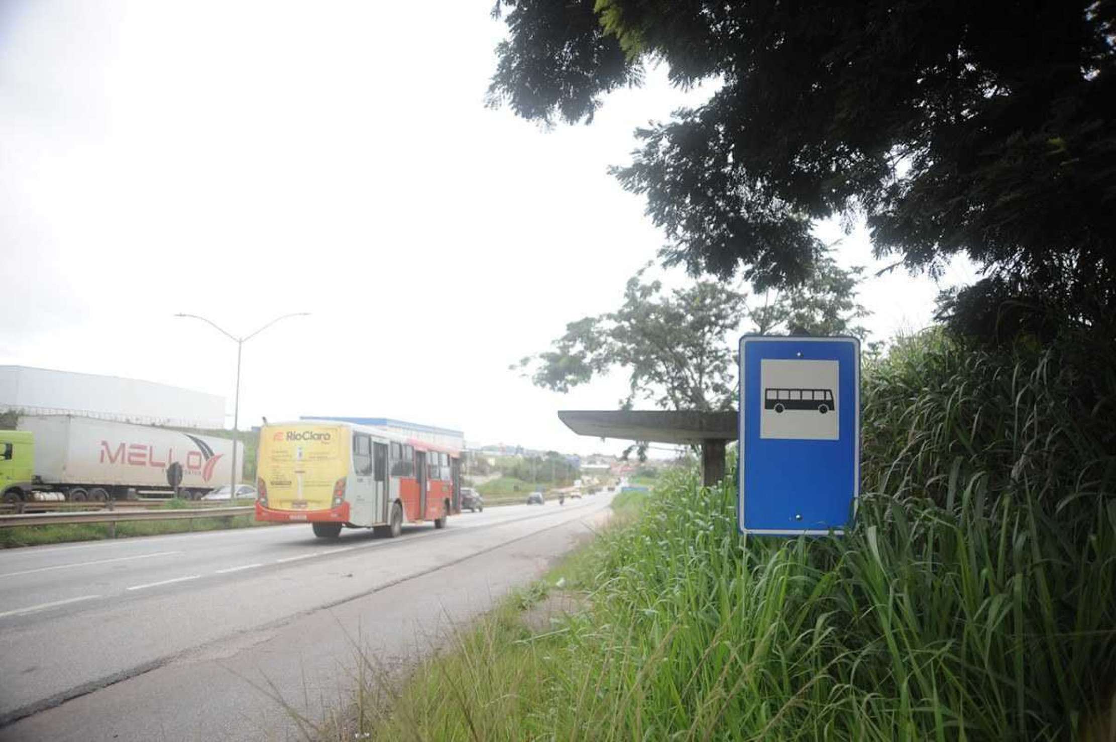 Mato alto invade a pista e encobre até os pontos de ônibus da BR-040