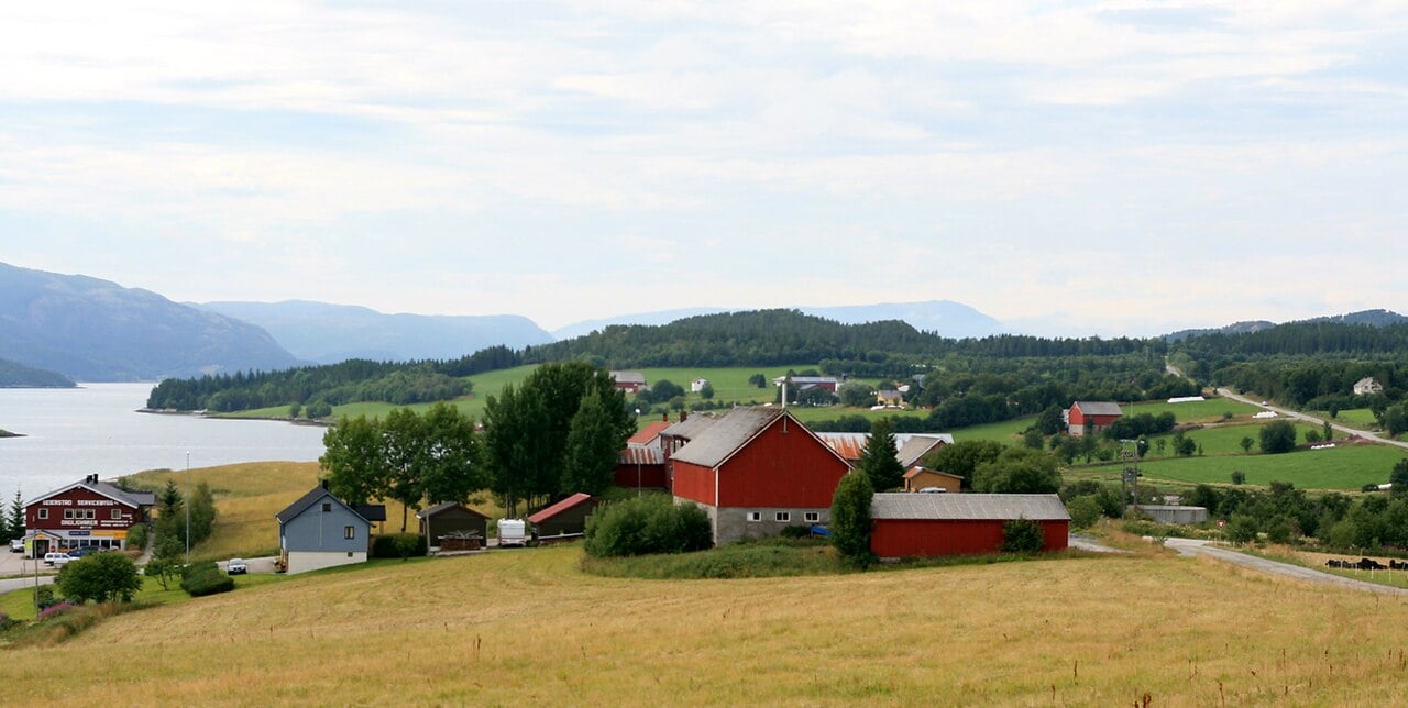 O caso ocorreu em Trondelag, no centro da Noruega. A águia causou vários ferimentos no rosto do bebê e só o soltou quando foi morta pelo guarda-florestal Per Kare Winterdahl. Ele disse, perplexo, que a águia se comportou como se a criança fosse uma presa. 