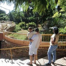 Belo-horizontinos irão investir mais para passear no Zoológico e Jardim Botânico -  (crédito: Alexandre Guzanche/EM/D.A. Press)