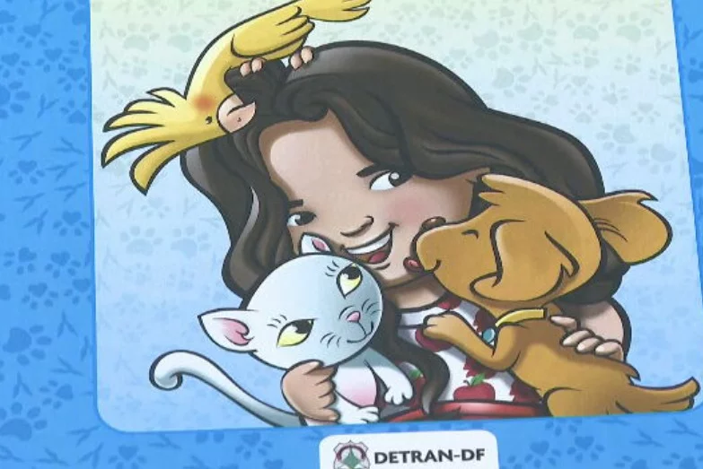 Vai transportar pets? Conheça o que dizem as regras de trânsito - Reprodução TV Globo