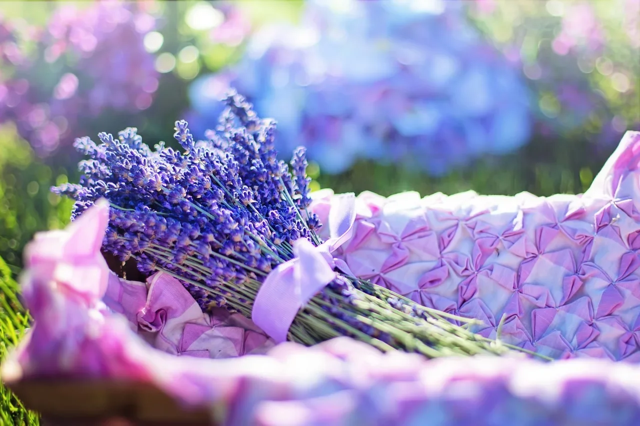 Utilize óleos de hortelã-pimenta, lavanda, árvore do chá ou capim-limão para afastar os percevejos. Pode-se fazer um spray com esses óleos e aplicá-lo do lado de fora da mala
