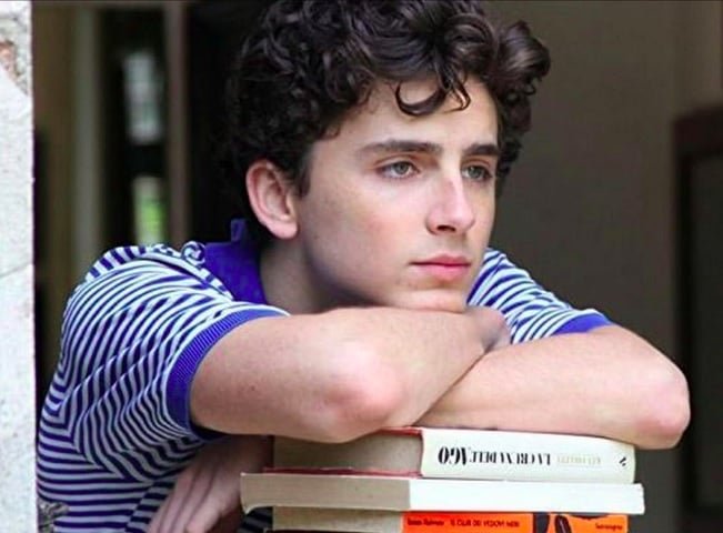 Timothée Chalamet: O ator viu sua carreira virar depois de receber uma indicação ao Oscar pelo filme “Me Chame Pelo Seu Nome” (2017). Logo em seguida, ele estrelou “Querido Menino” (2018), ao lado de Steve Carell, e “Um Dia de Chuva e Nova York” (2019), do diretor Woody Allen.