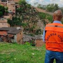 Queda de árvore interdita casas e deixa famílias desalojadas em BH - Defesa Civil/Divulgação