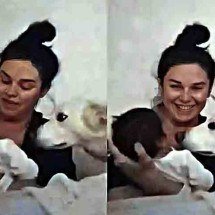 Cachorros que viralizaram na web : Internautas adoraram - Reprodução TIK TOK