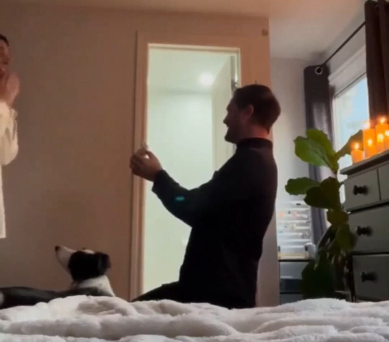 Enquanto ele ajoelha e faz o pedido, Maika late e dá giros, dando um toque especial ao vídeo emocionante.-Reprodução de vídeo / Instagram @maika.borador