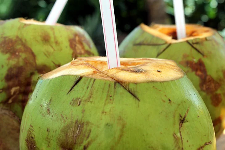 Dias de calor: como ter uma alimentação saudável