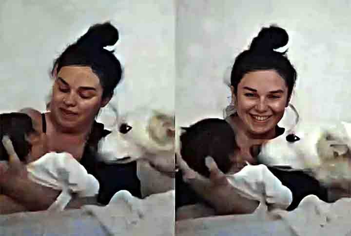 Uma imagem viralizou recentemente nas redes sociais:  Cedar, um cachorro de estimação Border Collie, acompanhou Brooke Thomo, uma mãe de primeira viagem durante amamentação. O caso aconteceu na Austrália e os internautas reagiram. Adoraram. -Reprodução TIK TOK