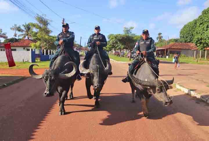 No município de Soure, considerado a capital do arquipélago do Marajó,  a  corporação se utiliza do búfalo,  para coibir a criminalidade  - o que virou atração turística.