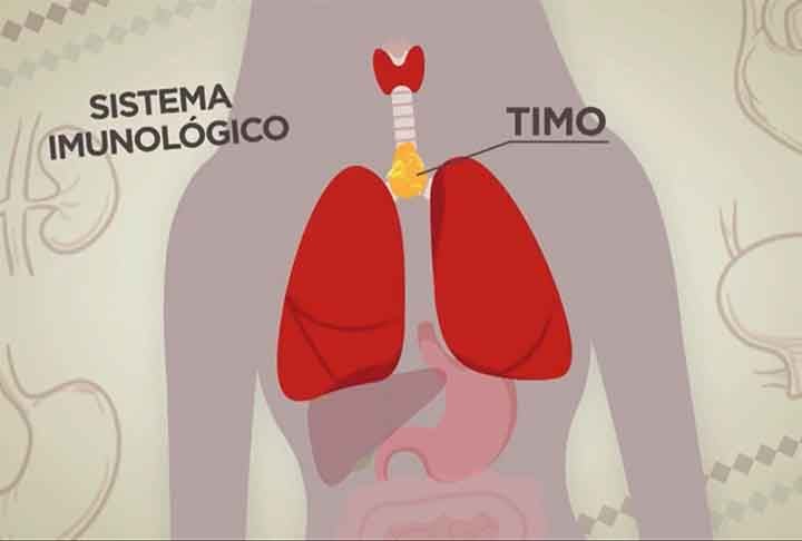 Quando tinha 15 anos, Sabrina recebeu o diagnóstico de um tumor no timo, órgão linfático entre os pulmões e próximo ao coração que regula o sistema imunológico.
