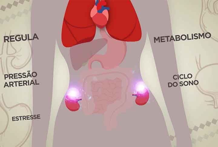 Passados dois anos da cirurgia, Sabrina voltou a sofrer com os sintomas e exames mostraram que o tumor não só seguiu em seu corpo como aumentou de tal forma que não poderia mais ser retirado por meio cirúrgico.
