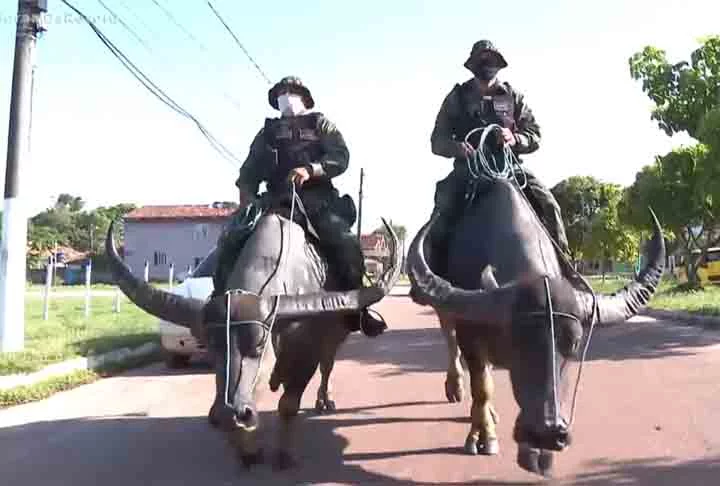 O búfalo como atrativo para aproxima a Polícia Militar do Pará ao turista e, naturalmente, à população local, já que o animal é o símbolo do Marajó e o policiamento ostensivo se alinha com esse aspecto cultural da região.