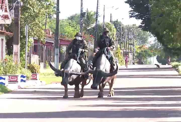 A unidade exerce o policiamento com búfalos num município que mesmo com o passar do tempo, ainda preserva o bucolismo, a cultura e a identidade dos moradores da região.