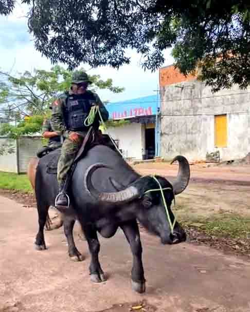 Em 1833 a vila foi extinta, sendo re-criada em 1847. Entretanto, o seu território permaneceu anexado ao do município de Monsaraz até 1859, quando houve a instalação do município de Soure. Após a proclamação da República (1890), foi criado o Conselho de Intendência Municipal, obtendo assim foros de cidade.