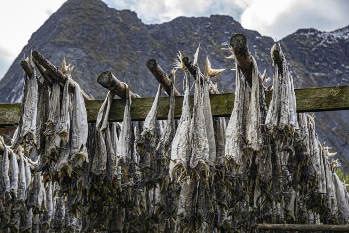 Historicamente, o bacalhau ganhou popularidade devido à sua facilidade de conservação quando salgado e seco, um método usado desde a época dos vikings e consolidado pela indústria pesqueira ao longo dos séculos.