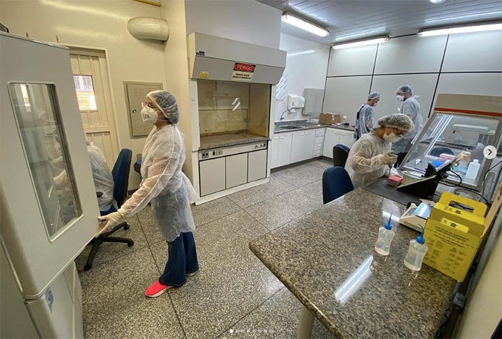 Segundo a Fiocruz, a doença tem cura e o tratamento em animais deve ser feito por veterinários. Com o uso do remédio adequado, já se encontram sinais de melhora. O tratamento, porém, deve ser realizado em até dois meses depois das feridas desaparecem.