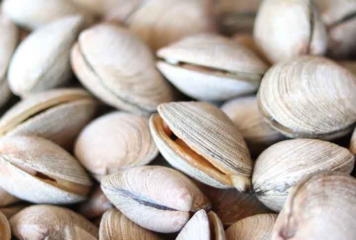 Amêijoa é a designação comum dada a várias espécies de moluscos bivalves da ordem Veneroida, pertencentes às famílias Lucinidae, Cardiidae e Veneridae. No Brasil, elas são mais frequentemente conhecidas por marisco-pedra, massunim, sarnambi ou berbigão.