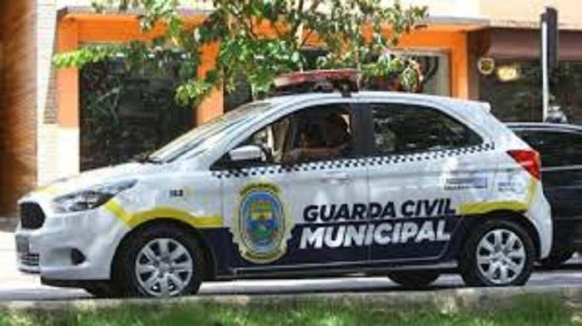 Guardas passaram no exato momento em que acontecia a agressão -  (crédito: Guarda Municipal BH)