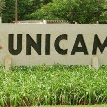 Cascas da jabuticaba têm potentes antioxidantes; aproveite - Divulgação/Unicamp