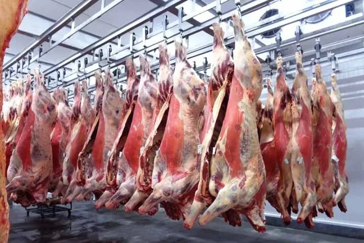 A dificuldade em rastrear a origem e a qualidade da carne torna a fraude mais fácil. A adulteração pode comprometer a segurança alimentar e a qualidade nutricional da carne. Inspeções rigorosas e rastreamento eficaz são necessários para garantir a integridade do produto e proteger os consumidores.