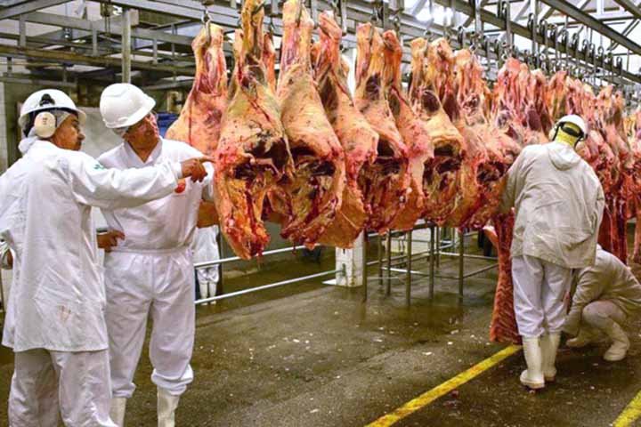 A carne bovina é suscetível a fraudes como a adição de água para aumentar o peso e a substituição de cortes inferiores por cortes mais caros. Essas práticas fraudulentas são impulsionadas pela alta demanda e pelos lucros potencialmente elevados.