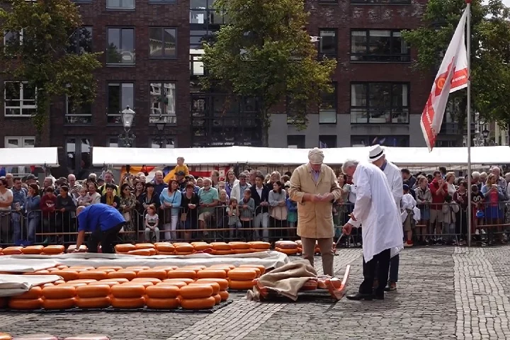 O mercado de queijos de Alkmaar é uma grande atração turística, especialmente durante os meses de abril a setembro, quando ocorre todas as sextas-feiras, na Waagplein, a praça principal da cidade. 