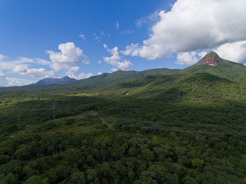 “Com um pouco de paciência, conseguimos registrar imagens incríveis da harpia em voo, carregando sua presa, provavelmente em direção ao ninho. Ver uma harpia selvagem em seu ambiente natural já é raro, mas capturá-la em voo, com uma presa nas garras, é como ganhar na Mega-Sena”, declarou o fotógrafo ao portal G1. O flagra ocorreu no no Maciço de Urucum (foto), em Corumbá (MS).

