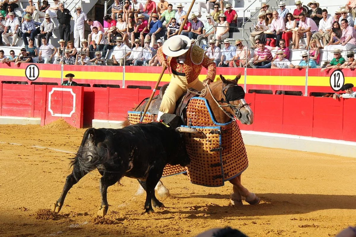 Hoje restrita a poucos países, casos de Espanha e Portugal, as touradas foram promovidas no Brasil até o início do século 20, em especial no Rio de Janeiro. A então capital do país abrigava duelos entre touros e toureiros em arenas espalhadas pela cidade. 
 -  (crédito: Briske88/Wikimedia Commons )