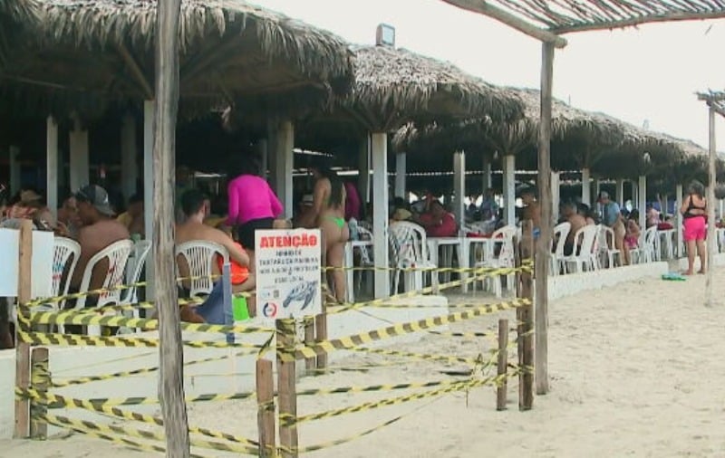 As praias piauienses estão na rota das tartarugas, que todos os anos proporcionam um espetáculo da Natureza aos banhistas e comerciantes da região. -Reprodução Tv Globo