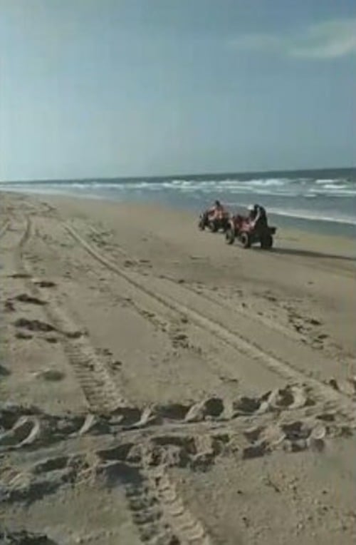  Mas há um problema. É que, além de caminhar e se banhar, turistas usam carros e motos para se divertir na faixa de areia das praias. E ocorrem casos de atropelamento das tartaruguinhas.-Reprodução Tv Globo