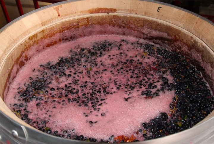 A constituição química das uvas permite que elas fermentem sem qualquer adição de açúcares, ácidos, enzimas ou outros nutrientes.
