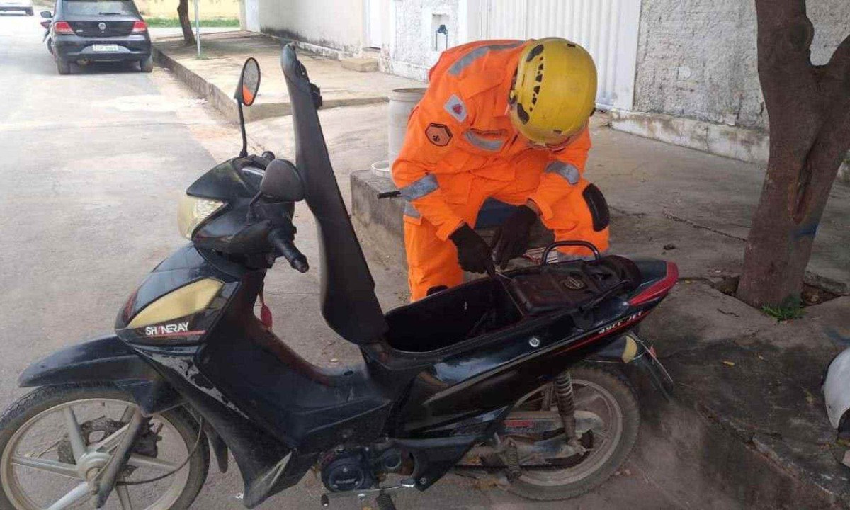 Os bombeiros resgataram a serpente que se escondeu na estrutura de moto -  (crédito: CBMMG)