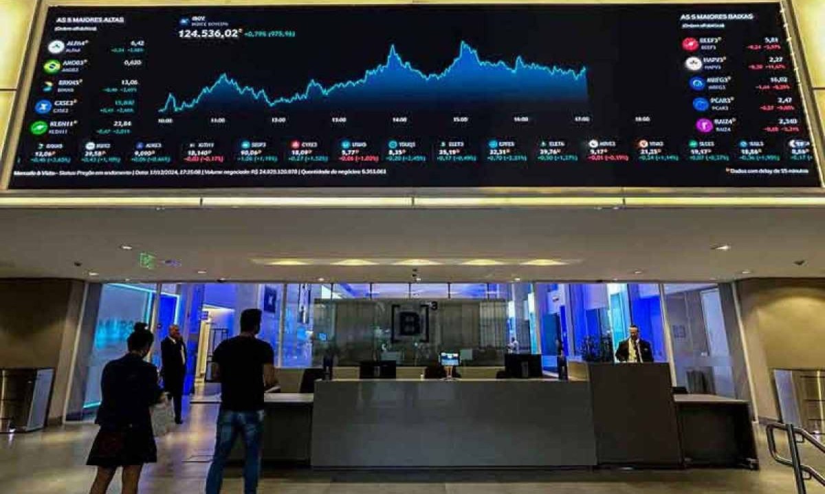 O Ibovespa, o principal índice da bolsa nacional, caiu 10% em 2024 -  (crédito: NELSON ALMEIDA/AFP)