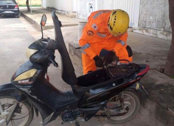 Os bombeiros resgataram a serpente que se escondeu na estrutura de moto -  (crédito: CBMMG)