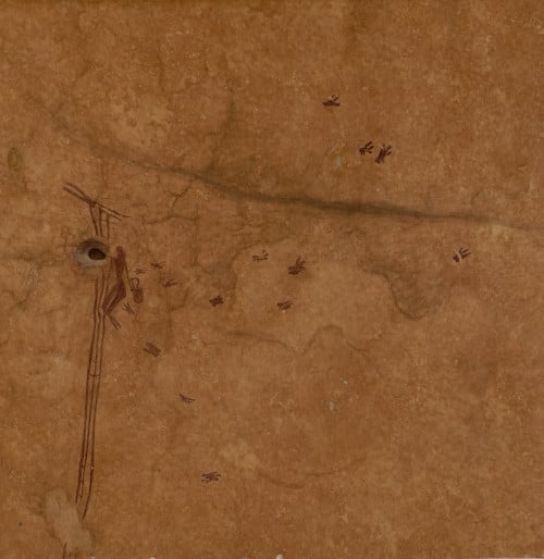 Uma pintura rupestre na Caverna de Araña, em Valencia, na Espanha, mostra uma pessoa pendurada em uma espécie de cipó, se esticando para alcançar uma colmeia e coletar mel de abelhas silvestres. Estima-se que a pintura tenha há 8 mil anos, 